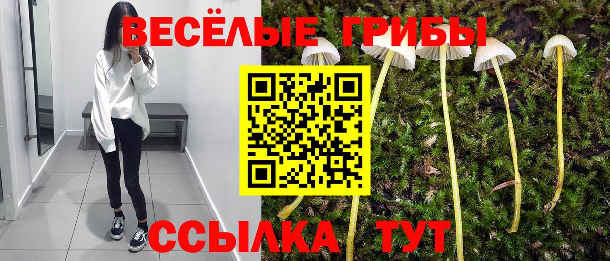 Галлюциногенные грибы мухоморы  даркнет сайт  Верхняя Салда  Вход с VPN 